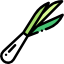 Spring onion