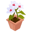 Flower Pot