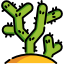 Cactus