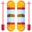 Ski
