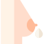 Breast