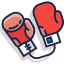 Боксерские перчатки
