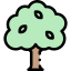 Oak
