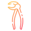 Forceps