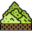 Bush