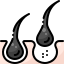 Hair