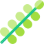 Tropical leaves