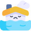 Flood