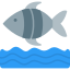 Sea life