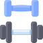 Dumbbells
