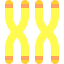 Chromosome