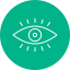 Vision