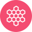 Honeycomb