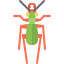 Beetle