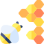 Honeycomb