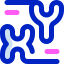 Chromosome