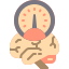 Brain